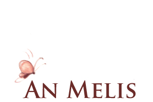 An Melis - Logo Biografie